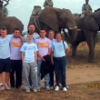 Team Stacey After Elephant Safari