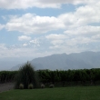 Mendoza with the Andes Mountains in the Background.